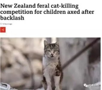 ​新西兰举办狩猎野猫比赛，还鼓励儿童杀野猫，可获得1000多元奖励，变相鼓励杀