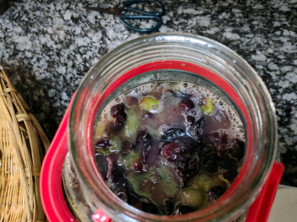 制作葡萄酒加水