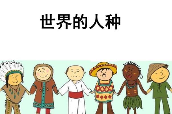 网络配图