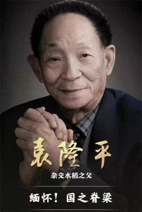 ​电影《袁隆平》收视创新高，拿下黄金档第一，央视连续直播五遍