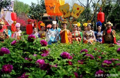 ​牡丹花开，洛阳pk菏泽，究竟谁才是牡丹之乡