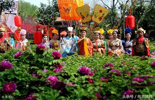 牡丹花开，洛阳pk菏泽，究竟谁才是牡丹之乡