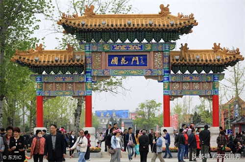 牡丹花开，洛阳pk菏泽，究竟谁才是牡丹之乡