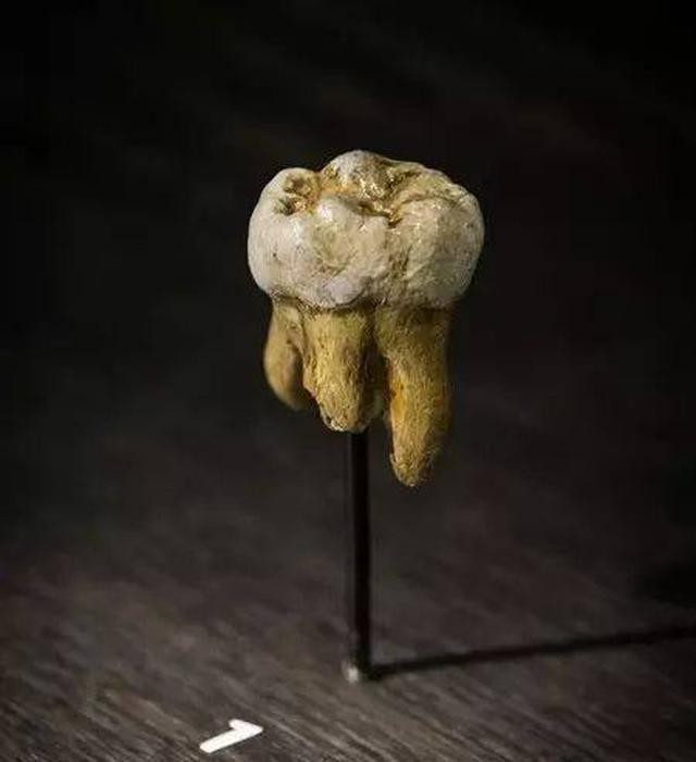 世界上曾经灭亡的人种如果他们还存在就没有我们人类了