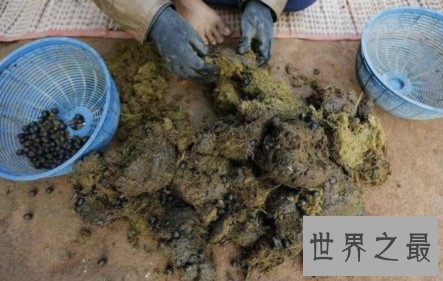世界上最恶心的火锅，满嘴臭豆腐味儿