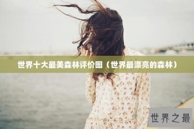 ​世界十大最美森林评价图（世界最漂亮的森林）