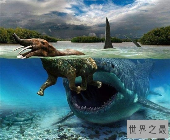 巨牙鲨在2013年疑似被发现，杀伤力比龙王鲸还厉害