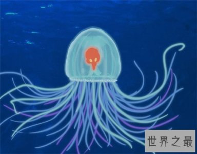 ​寿命最长的动物，原来长生不老并不用吃唐僧肉
