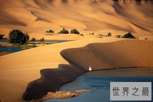 世界最热的沙漠撒哈拉沙漠，曾经竟然下过雪！
