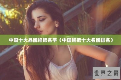 ​中国十大品牌拖把名字（中国拖把十大名牌排名）