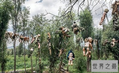 ​世界十大奇特岛屿：玩偶之岛娃娃遍地恐怖至极
