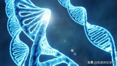 ​人类基因组的完整序列：探索人类生命的蓝图