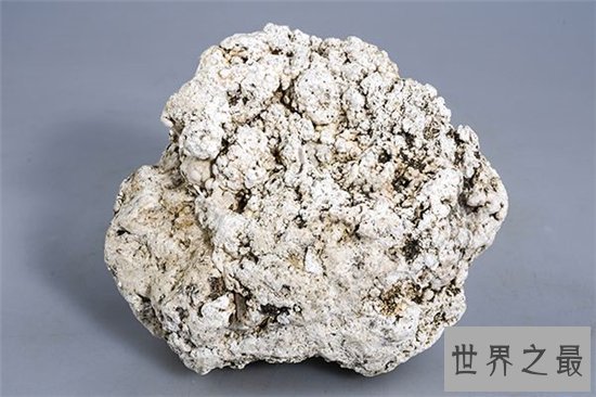 10种最受欢迎的草药，鹿茸除了壮阳竟然还有其他隐藏效果！