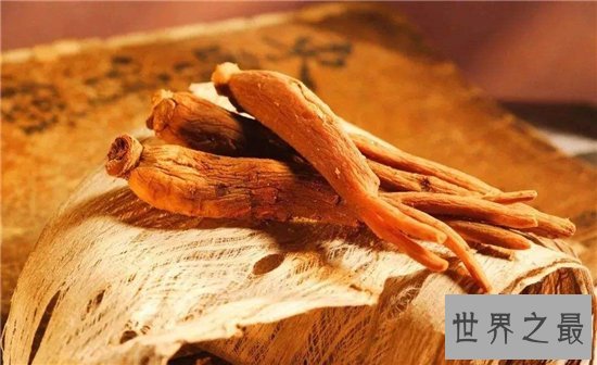10种最受欢迎的草药，鹿茸除了壮阳竟然还有其他隐藏效果！