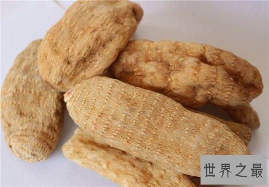 10种最受欢迎的草药，鹿茸除了壮阳竟然还有其他隐藏效果！