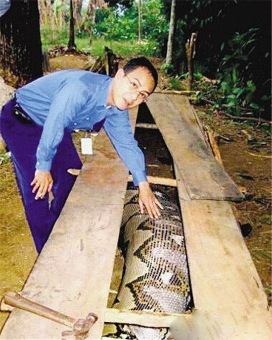 村民捕获120岁大蛇 场面骇人