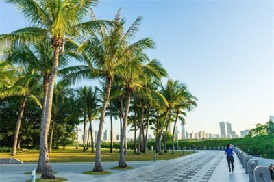 ​深圳十大旅游景点：探寻繁华都市中的自然与人文瑰宝！