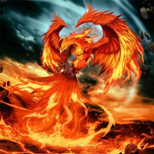 ​不死鸟与凤凰是上古神话中截然不同的两种神兽，人们常将它们混淆