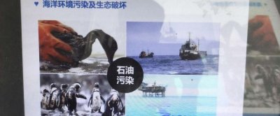 ​海洋污染的危害，海洋污染对人类的危害？