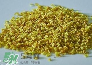 白枇杷花茶多少钱一斤？白枇杷花茶价格