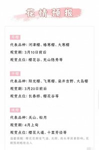 ​欢迎来到江南胜地，感受无锡鼋头渚的自然与文化之美！