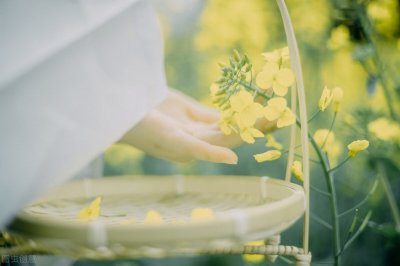 ​强推！美艳清冷护短师尊《黛色霜青》作者：则尔