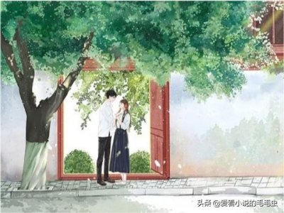 ​4本穿书现言，女主肤白貌美洒脱随性，不经意撩动他心