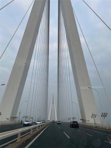 ​京东公布双十一“战报”：约300个品牌销售破亿元