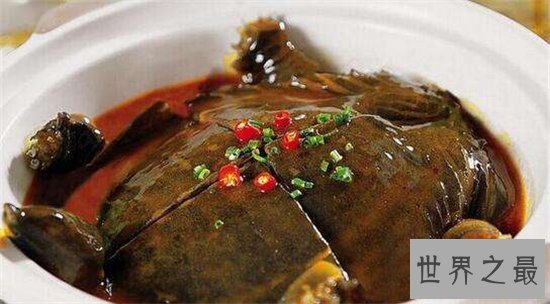 中国十大禁菜排行榜,血腥程度难以想象