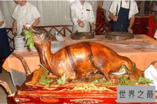 中国十大禁菜排行榜,血腥程度难以想象