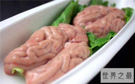 中国十大禁菜排行榜,血腥程度难以想象