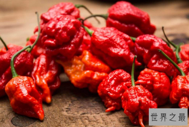 世界上最辣的辣椒TOP10，最后一个曾经辣死过人！