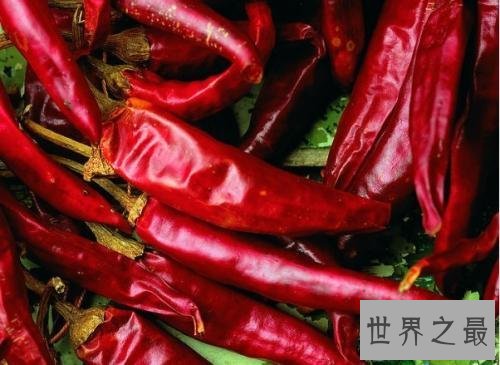 世界上最辣的辣椒TOP10，最后一个曾经辣死过人！