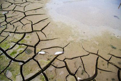 ​世界水日丨这些与水相关的小知识你都get了吗？