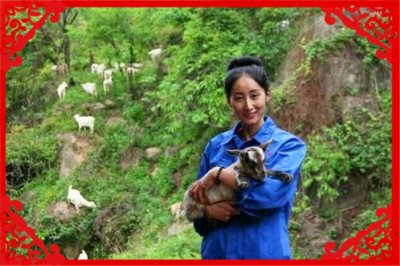 ​目前农村搞养殖，有什么项目是本钱少、好养又不愁销路的？这几种