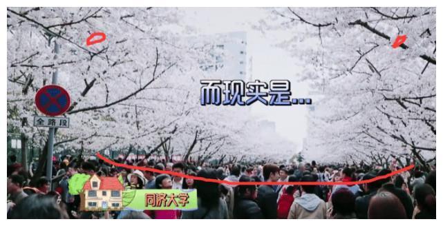 袁成杰带陈芊芊参观儿时童年地被嫌弃,失望至极最后态度暴露教养