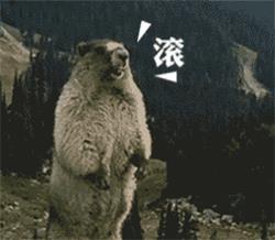 取错名字毁一生，看到最后一个笑劈叉了！哈哈哈哈哈哈哈哈哈哈哈哈哈哈哈