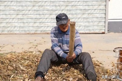 “初五十四二十三,娘家有钱莫要贪”,十月二十三,这些事要注意