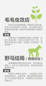 职场上最实用的18个心理学、管理学定律