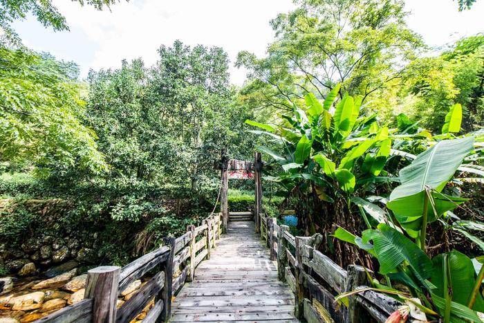 广东最牛的古村落,100多年前由印尼土豪出资建造,游客:太豪了