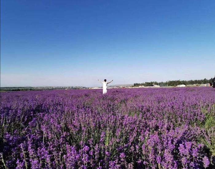 喀赞其民俗村是个彩色的小城,最吸引人的是“马的”和手工冰淇淋