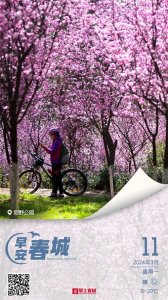 早安春城|昆明至罗平“赏花专列”来啦