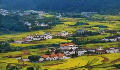 ​哪些土地属于农村集体建设用地？报批程序有哪些步骤？