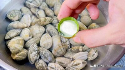 ​花甲吐沙，不用盐不用油，20年老渔民教我一妙招，15分钟吐个干净