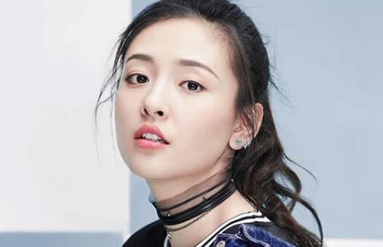 王栎鑫个人资料简介 王栎鑫老婆吴雅婷来历