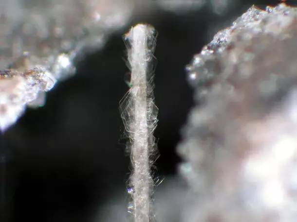 宝石鉴定怎么样鉴定（常见矿物宝石鉴别方法推荐）