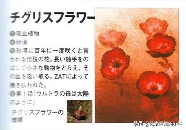 泰罗奥特曼第6集的怪物(剧场版奥特物语宇宙人怪兽图鉴敌役)(2)