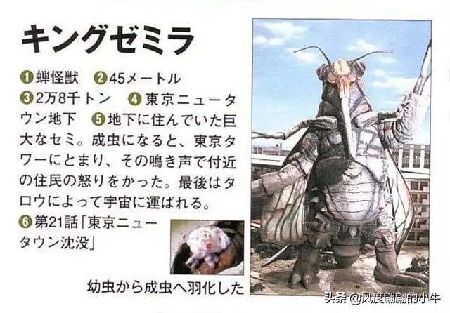 泰罗奥特曼第6集的怪物(剧场版奥特物语宇宙人怪兽图鉴敌役)(26)