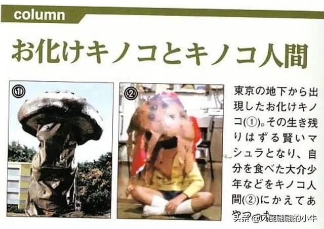 泰罗奥特曼第6集的怪物(剧场版奥特物语宇宙人怪兽图鉴敌役)(42)