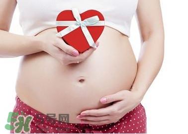 枸杞头孕妇能吃吗？枸杞头孕妇可以吃吗